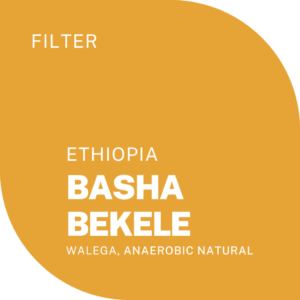 Basha bekele