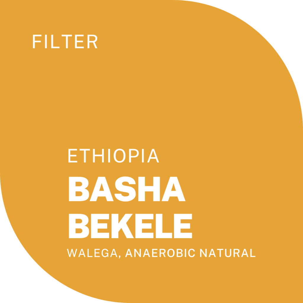 Basha bekele
