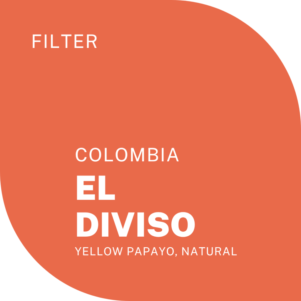 El Diviso