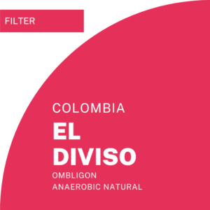El Diviso