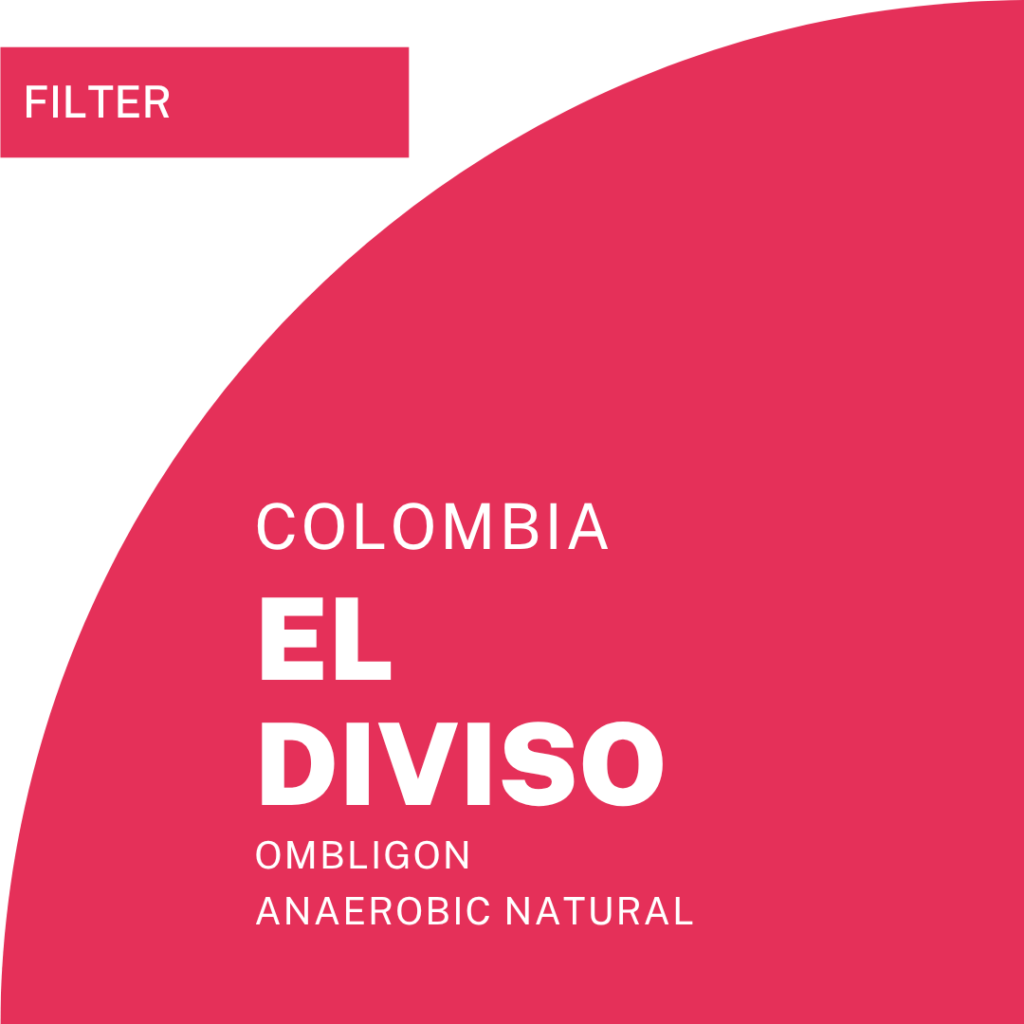 El Diviso